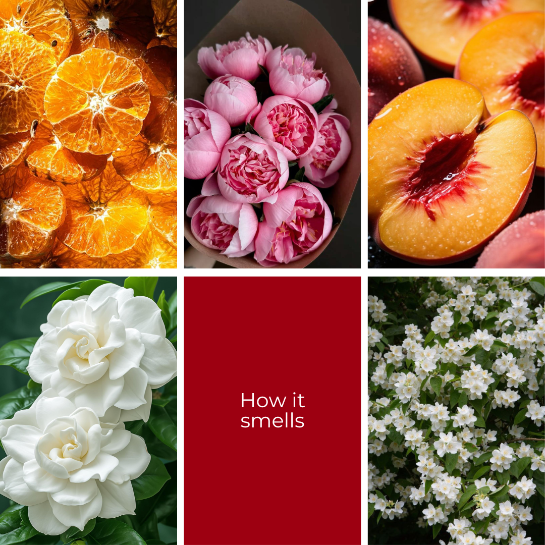 First Impression - 3 Wick Soy Wax Candle