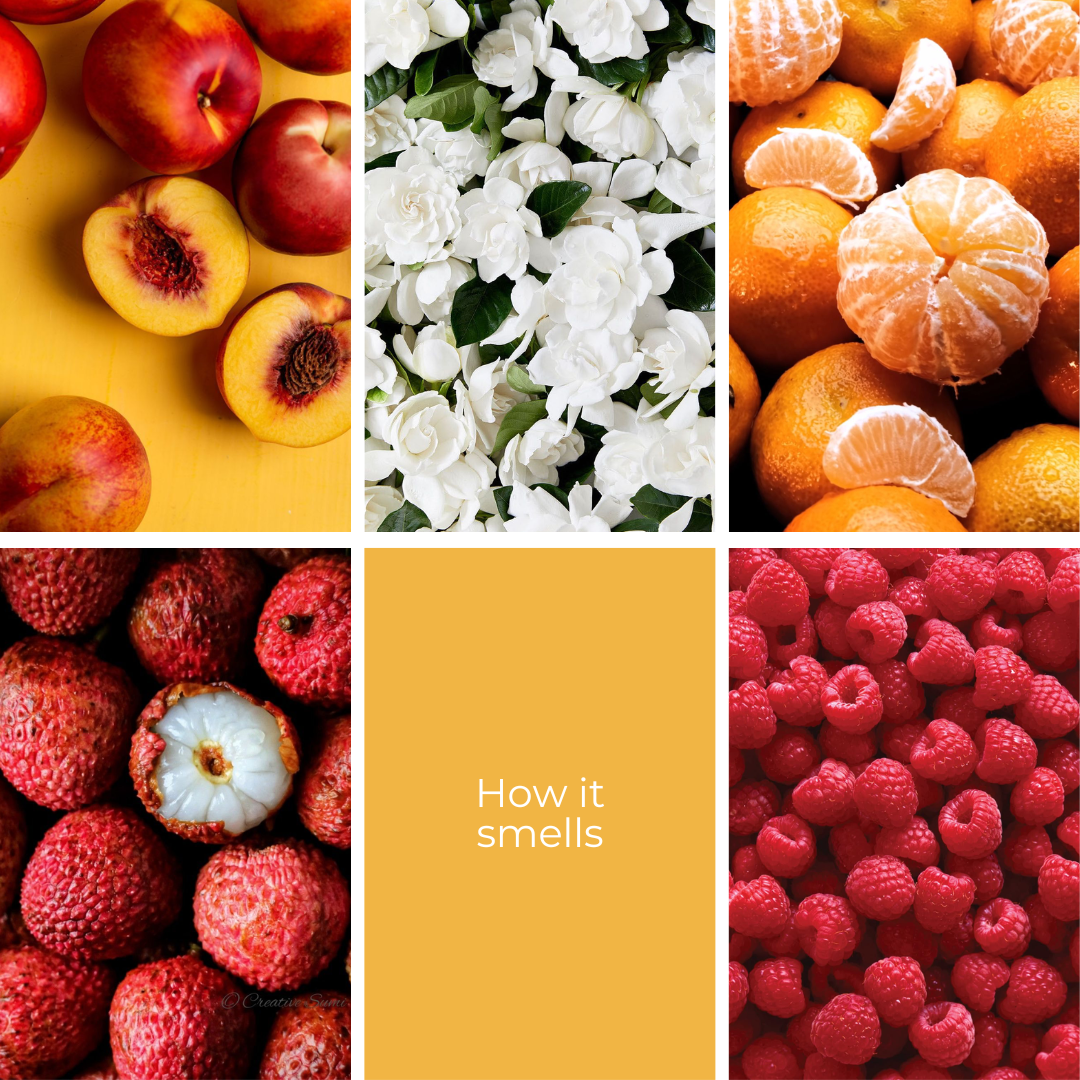 Sweet Escape - 3 Wick Soy Wax Candle