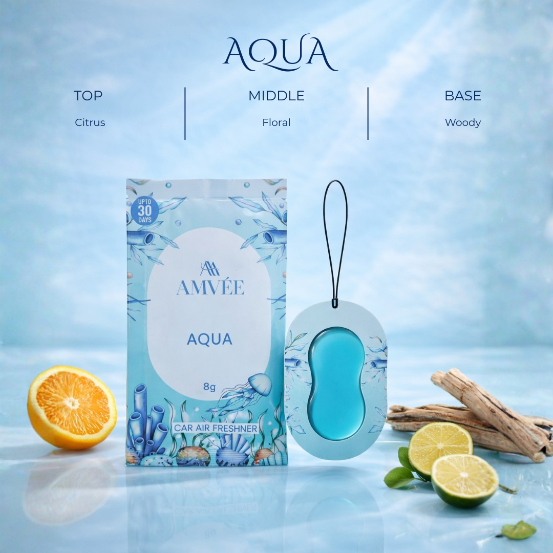 Aqua Gel Wink Hanging Car Perfume - Pack of 4