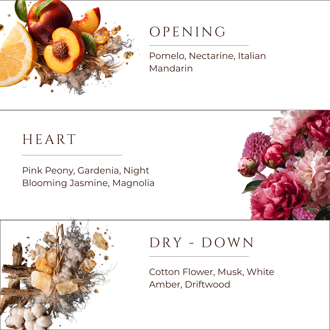 First Impression - Single Wick Soy Wax Candle