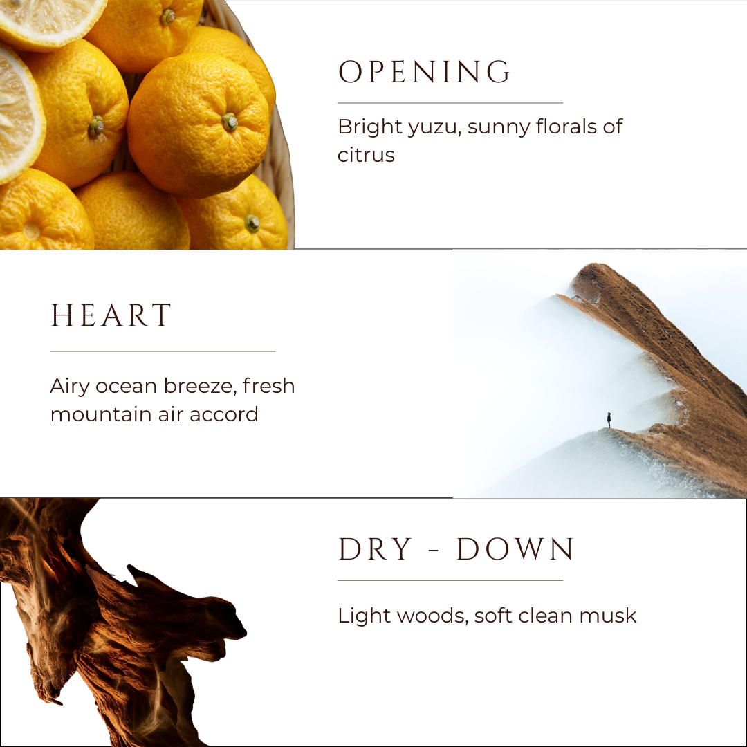Seazingly Fresh - 3 Wick Soy Wax Candle
