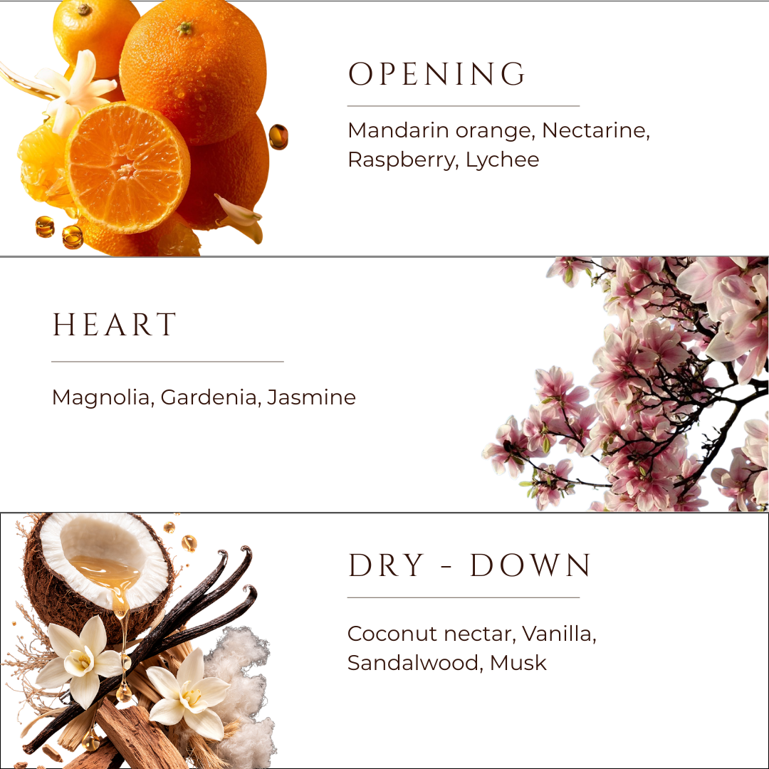 Sweet Escape - 3 Wick Soy Wax Candle